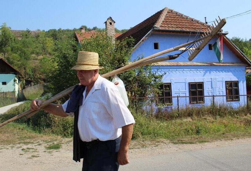 Csipkeszeg Bed & Breakfast Sic / Szék Romania