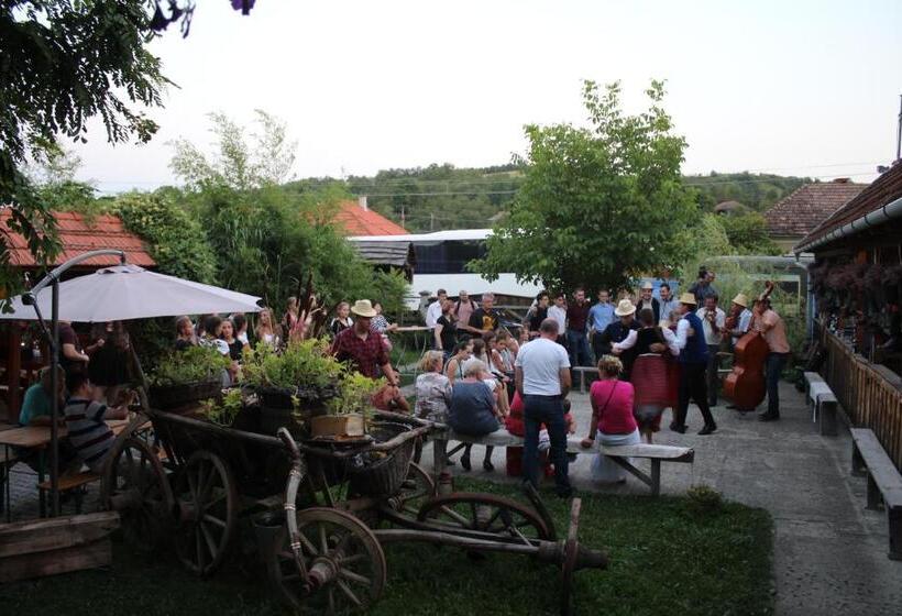 Csipkeszeg Bed & Breakfast Sic / Szék Romania