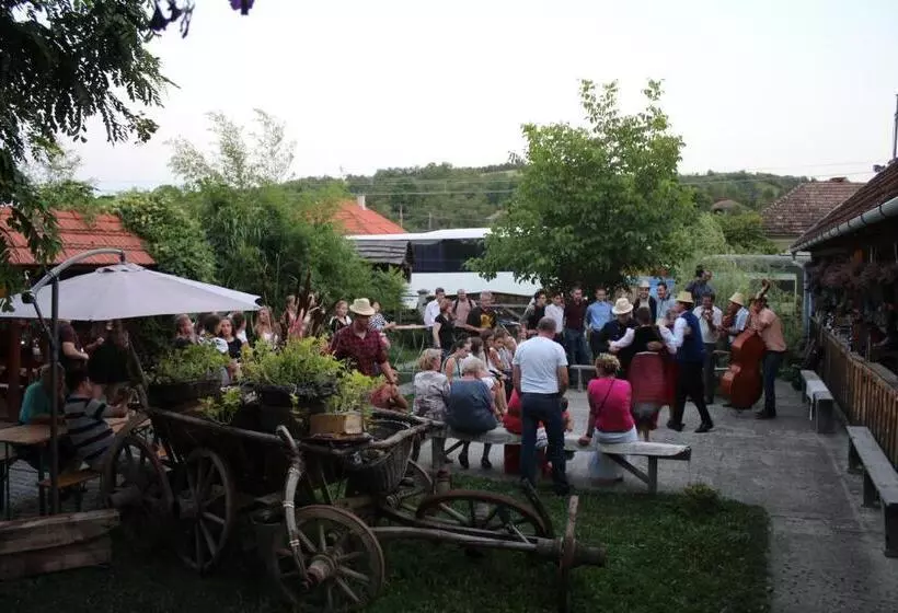 Csipkeszeg Bed & Breakfast Sic / Szék Romania
