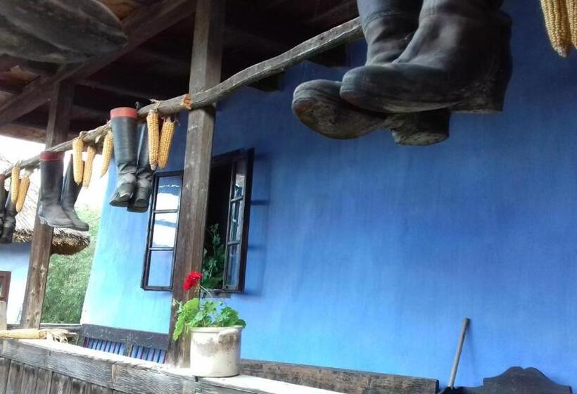 Csipkeszeg Bed & Breakfast Sic / Szék Romania