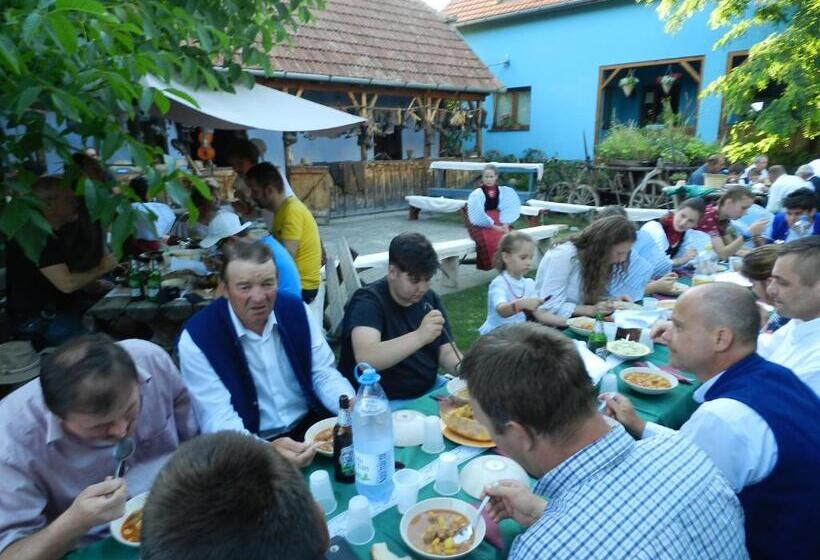 Csipkeszeg Bed & Breakfast Sic / Szék Romania