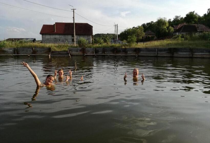 Csipkeszeg Bed & Breakfast Sic / Szék Romania