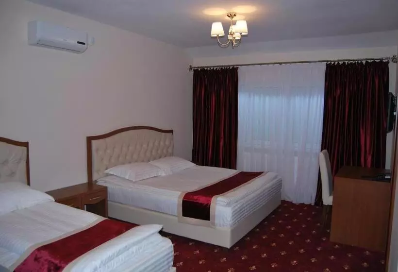 Hostel Paltinis