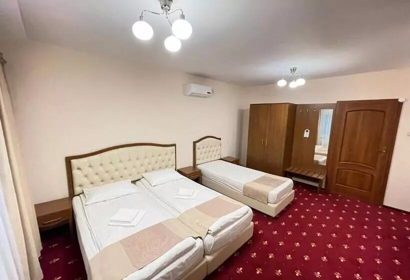 Hostel Paltinis