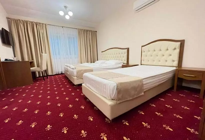 Hostel Paltinis
