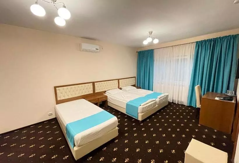 Hostel Paltinis