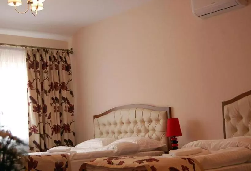 Hostel Paltinis