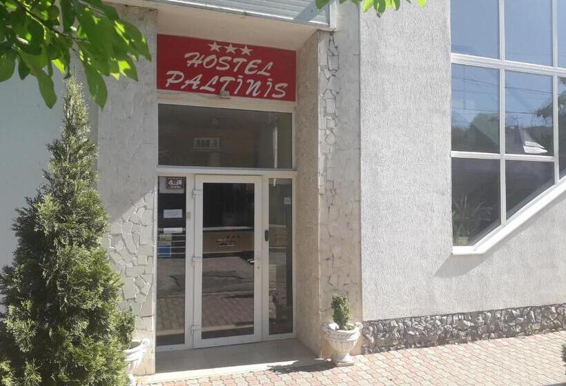 Hostel Paltinis