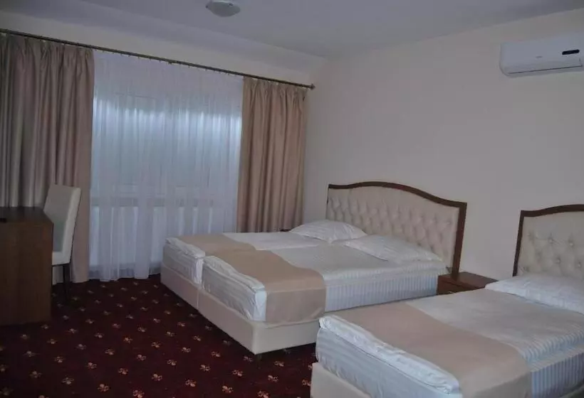 Hostel Paltinis