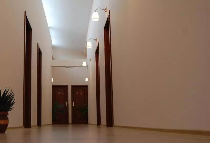 Hostel Paltinis