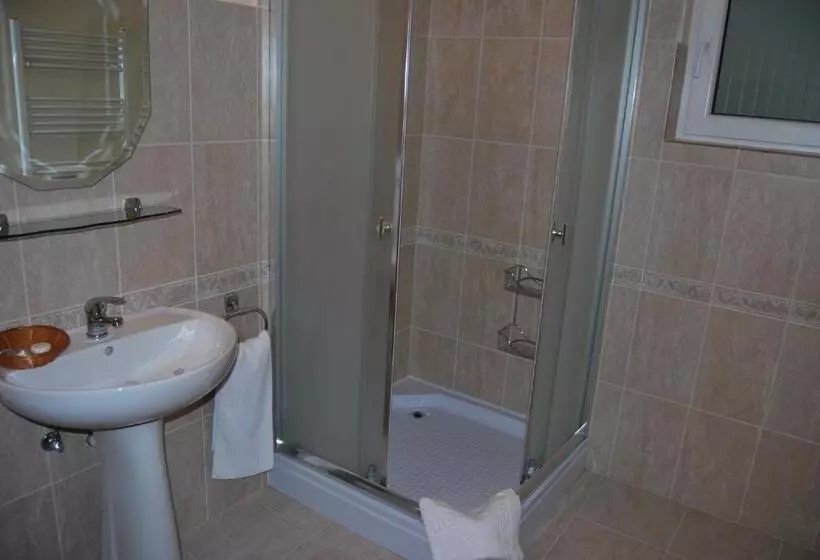 Hostel Paltinis