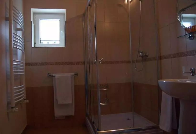 Hostel Paltinis