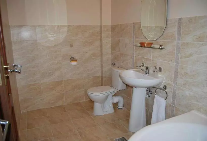 Hostel Paltinis