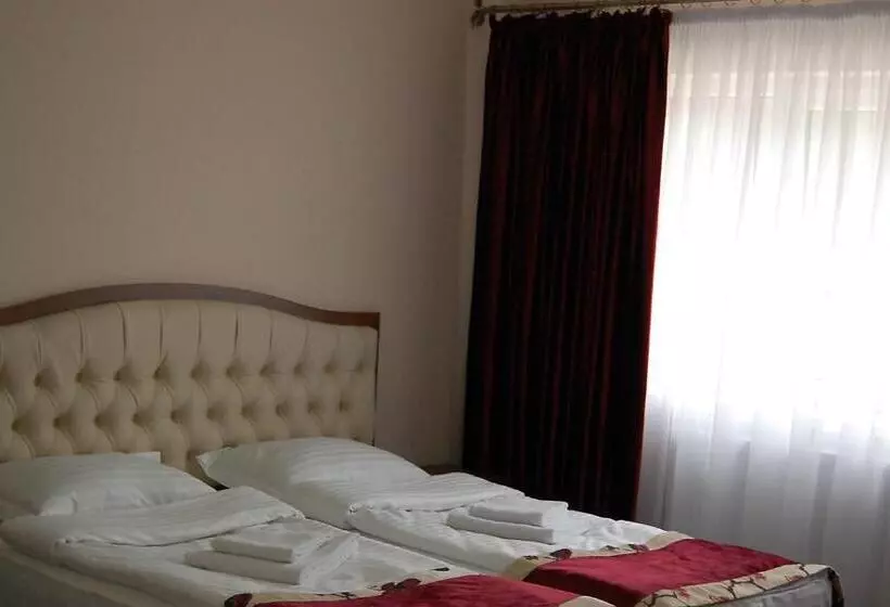 Hostel Paltinis