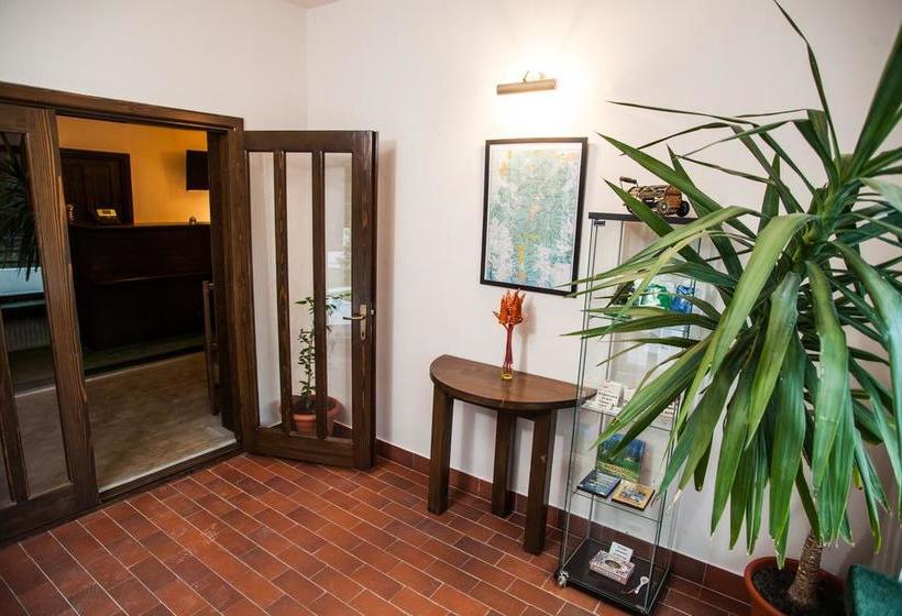 Отель Draga Maria