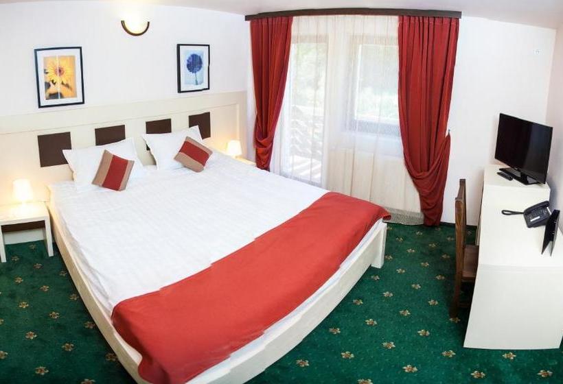 Отель Draga Maria