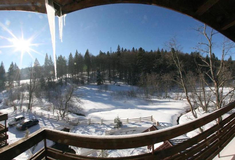 Отель Draga Maria