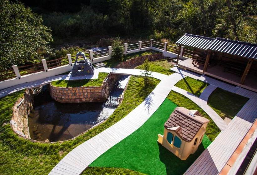 Отель Draga Maria