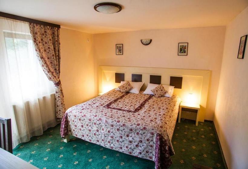 Отель Draga Maria