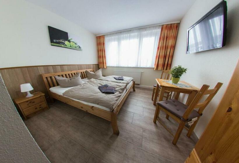 Отель Hollis Rast