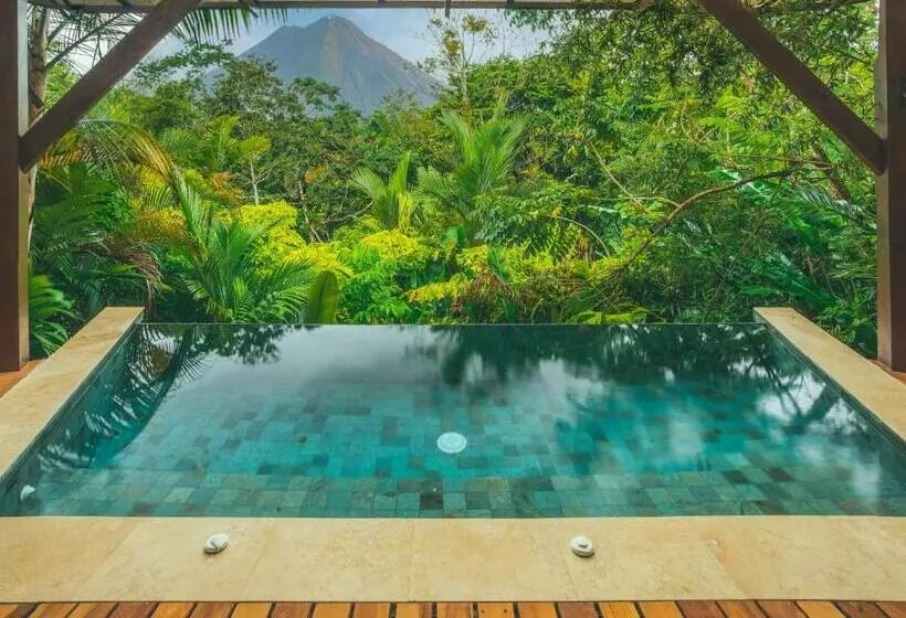 ホテル Nayara Gardens