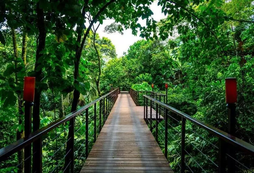 ホテル Nayara Gardens