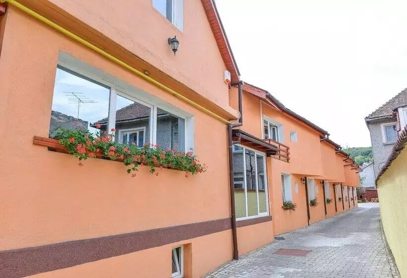 هتل Pensiunea Kronstadt