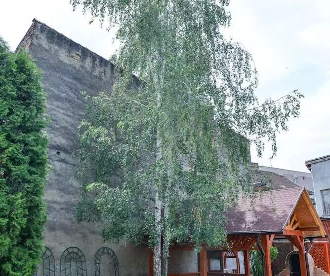 هتل Pensiunea Kronstadt