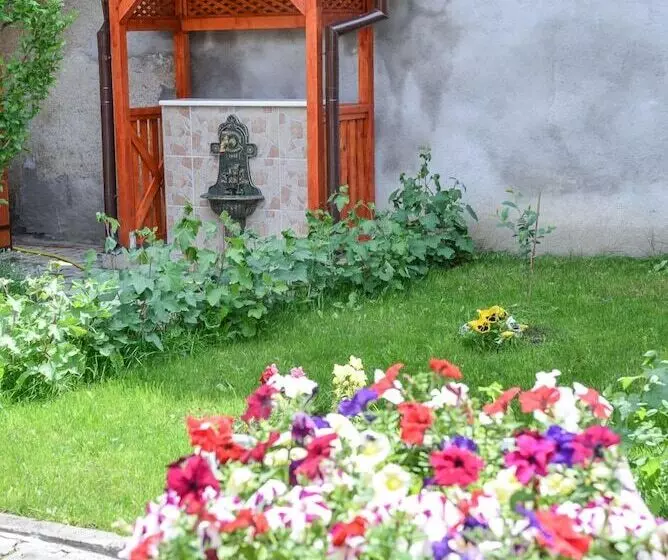 هتل Pensiunea Kronstadt