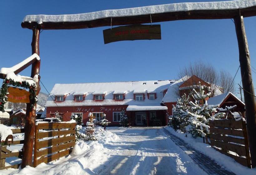 هتل Pensiunea Trasura Hinto Panzio