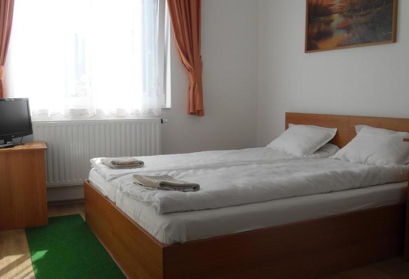 هتل Pensiunea Trasura Hinto Panzio