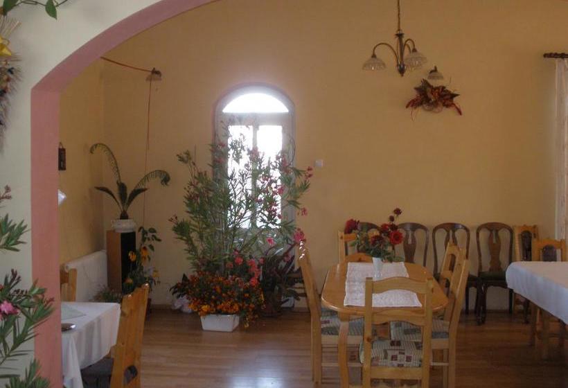 هتل Pensiunea Trasura Hinto Panzio