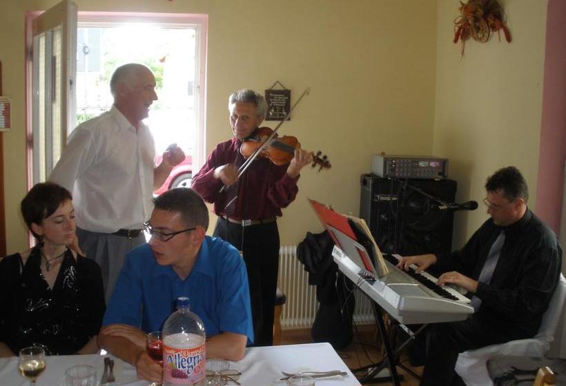 هتل Pensiunea Trasura Hinto Panzio