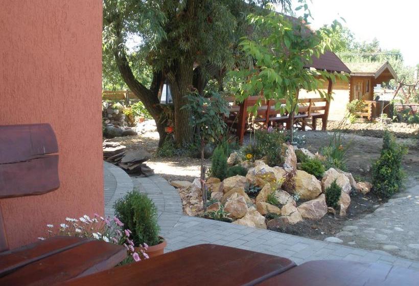 هتل Pensiunea Trasura Hinto Panzio