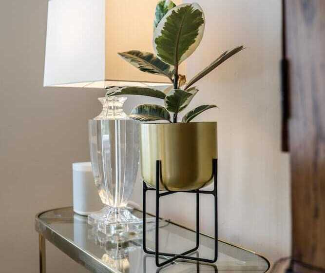 בית מלון כפרי Schloss Grube