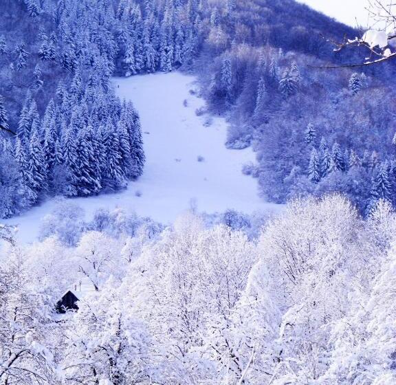 استراحتگاه Vila Carpathia