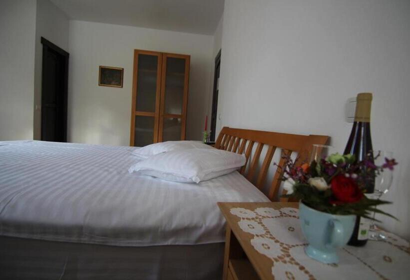 استراحتگاه Vila Carpathia