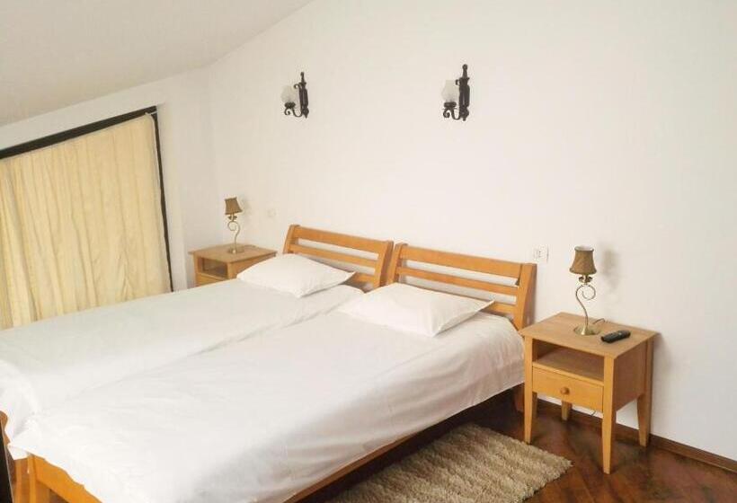 استراحتگاه Vila Carpathia