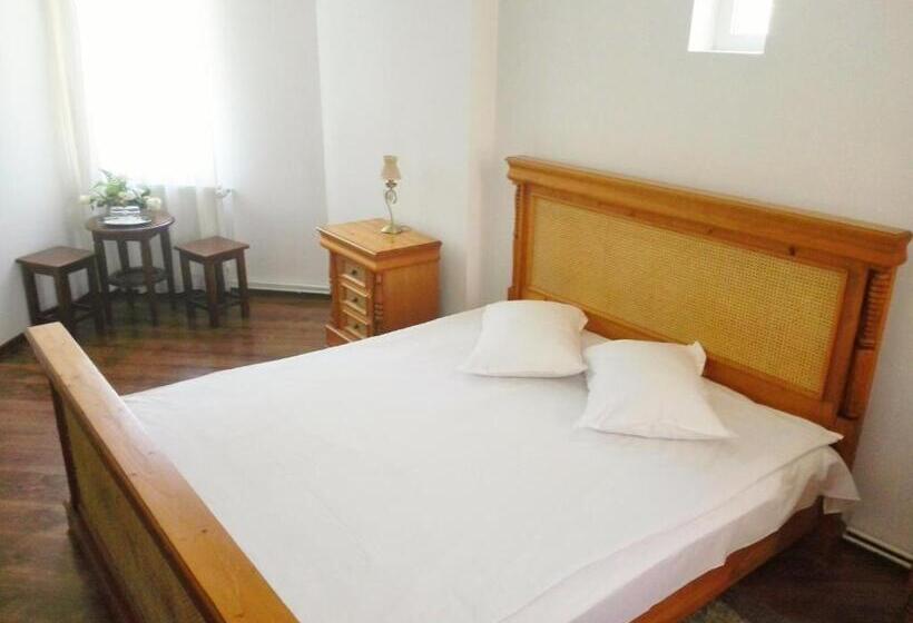 استراحتگاه Vila Carpathia