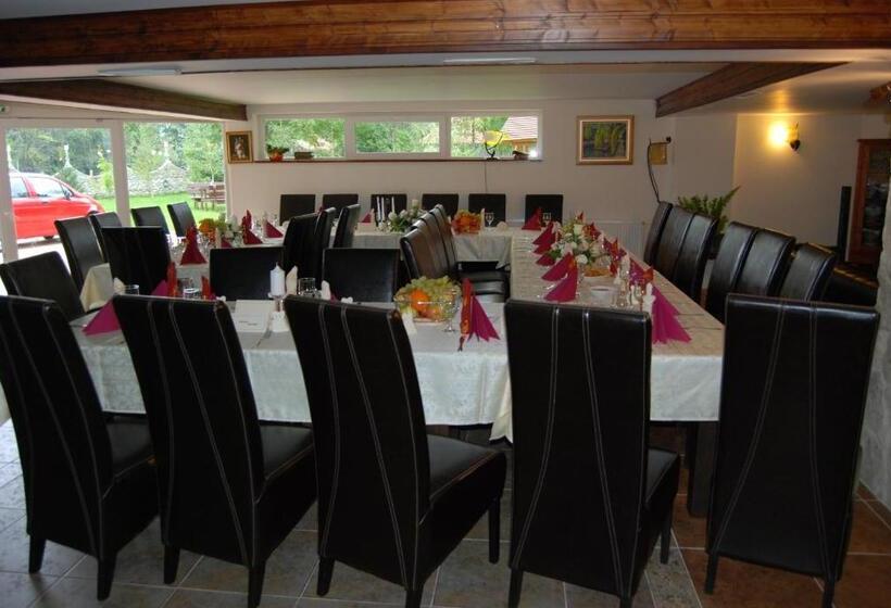 استراحتگاه Vila Carpathia