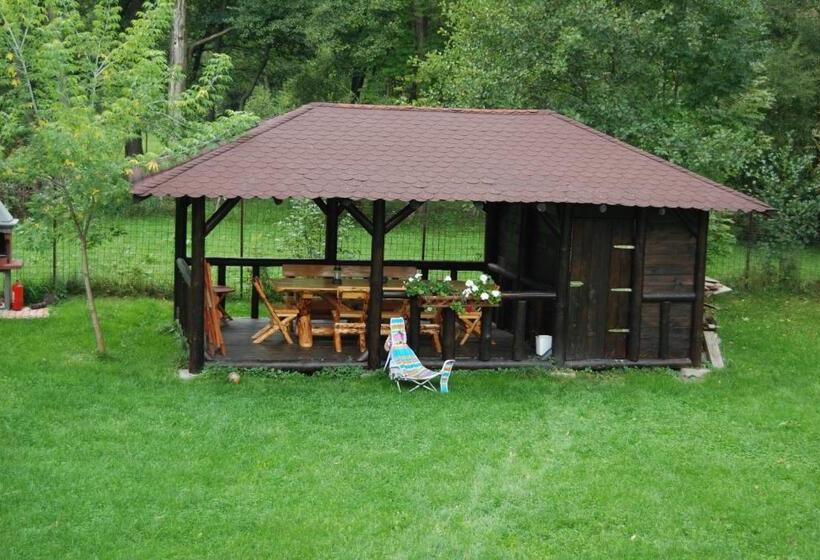 استراحتگاه Vila Carpathia