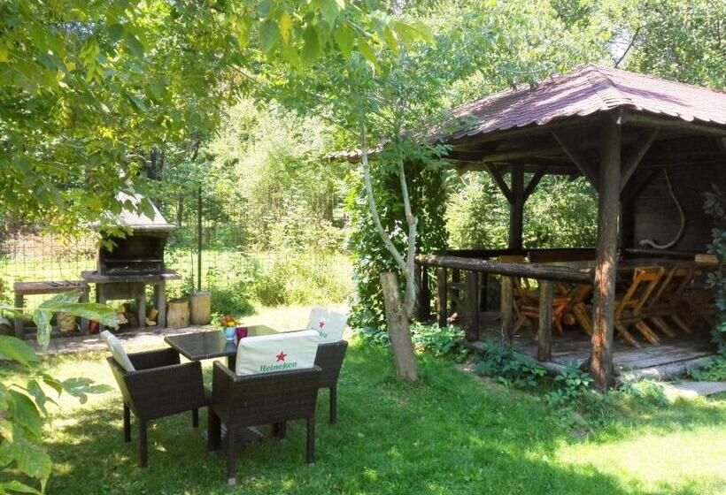 استراحتگاه Vila Carpathia