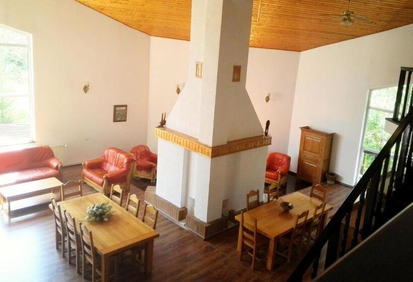 استراحتگاه Vila Carpathia