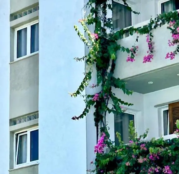 Andromeda Apartments & Studios