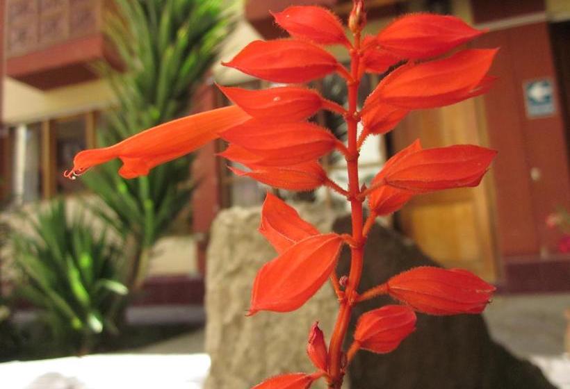 住宿加早餐 Hospedaje Kamila