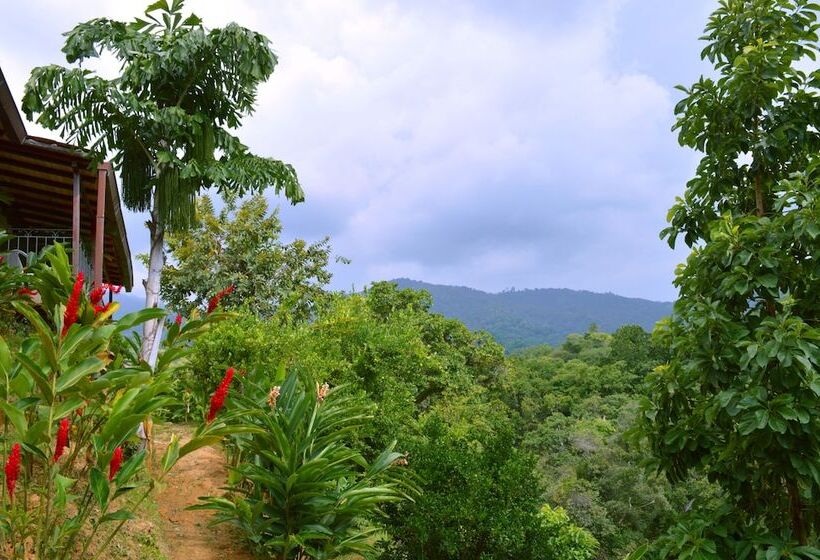 Sweet Harmony Hotel Boutique By Xarm Hotels