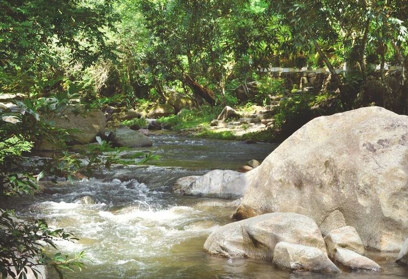 Sweet Harmony Hotel Boutique By Xarm Hotels