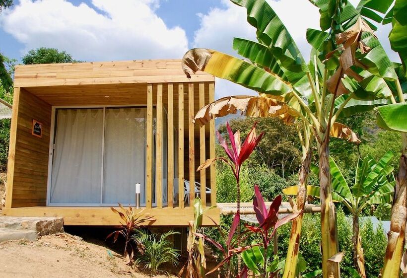 Sweet Harmony Hotel Boutique By Xarm Hotels