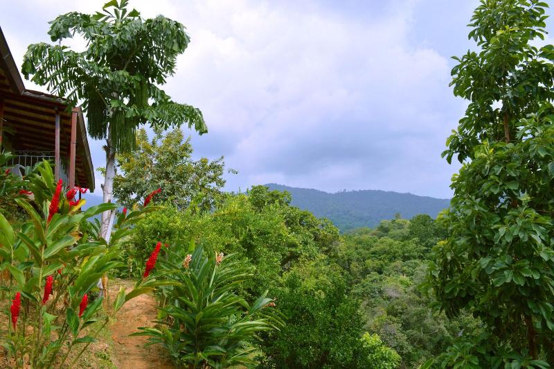 Sweet Harmony Hotel Boutique By Xarm Hotels