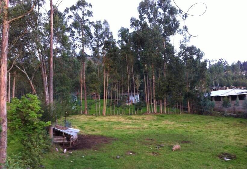 هتل Wayra Hospedaje